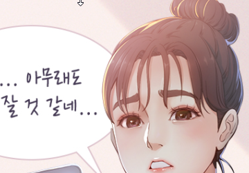 뉴토끼